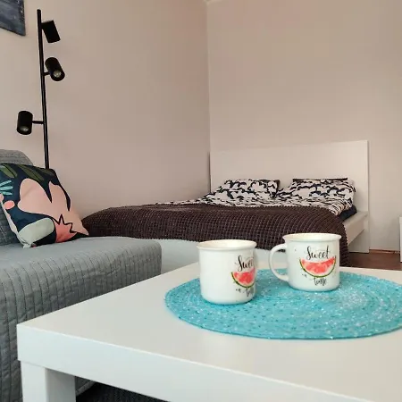 Sloneczna Kawalerka Danzig