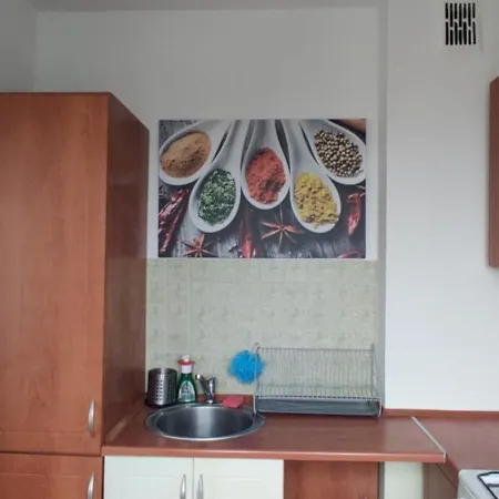Sloneczna Kawalerka Apartment Danzig